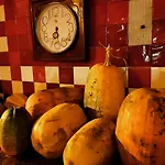 Restaurant Bujtina E Gjelit