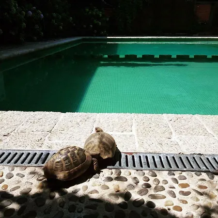 Restaurant Bujtina E Gjelit