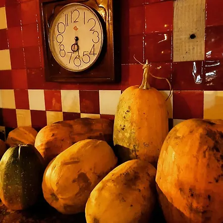 Restaurant Bujtina E Gjelit