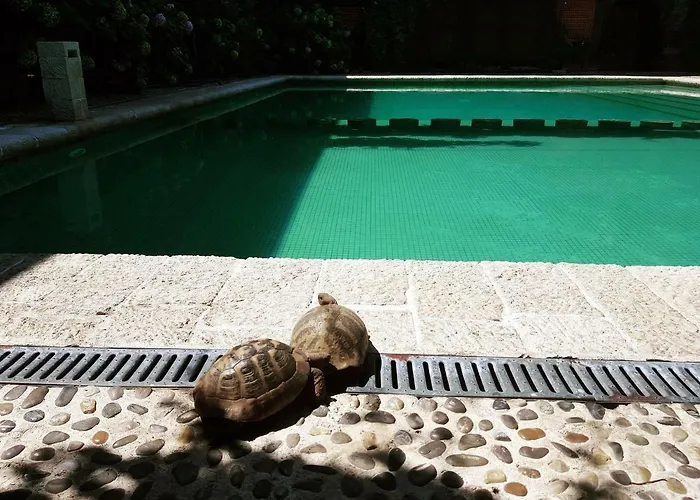 Restaurant Bujtina E Gjelit